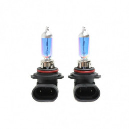 Estuche 2 bombillas H10 55W...