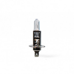 Bombilla halógena H1 (12...