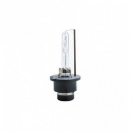 Bombilla D2S 6000ºK